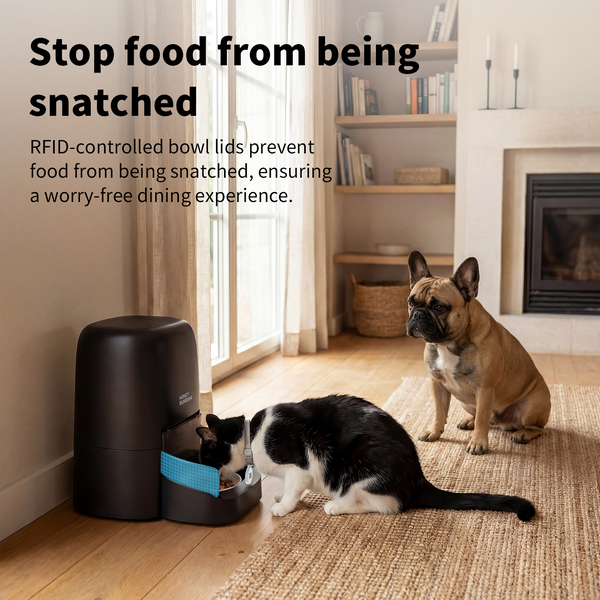 RFID Smart Pet Feeder