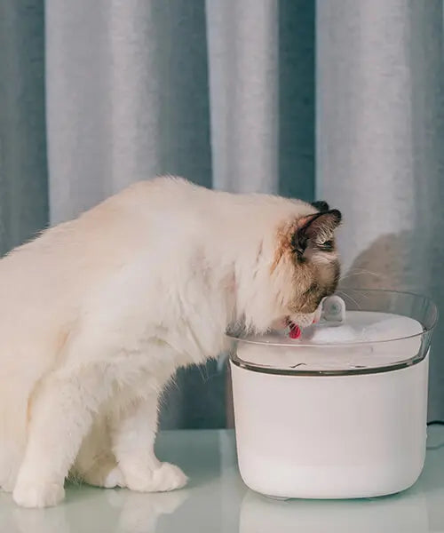 HONEYGUARDIAN Healthy Diet Happy Pet